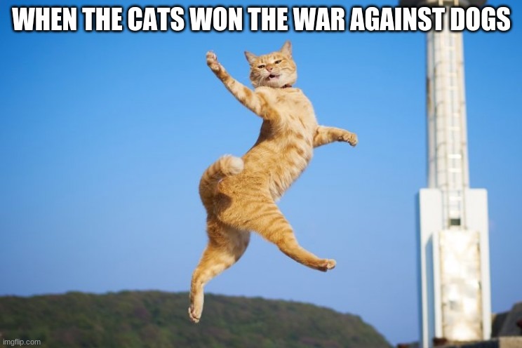 Cat | WHEN THE CATS WON THE WAR AGAINST DOGS | image tagged in cat | made w/ Imgflip meme maker