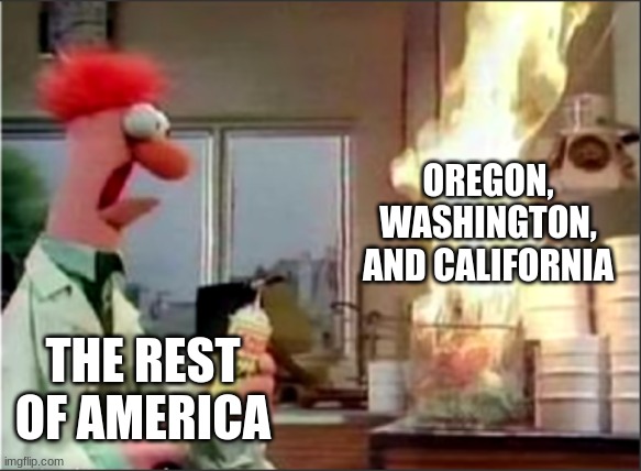 a 2020 meme | OREGON, WASHINGTON, AND CALIFORNIA; THE REST OF AMERICA | image tagged in muppet | made w/ Imgflip meme maker