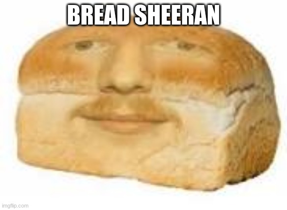 BREAD SHEERAN | image tagged in funny | made w/ Imgflip meme maker