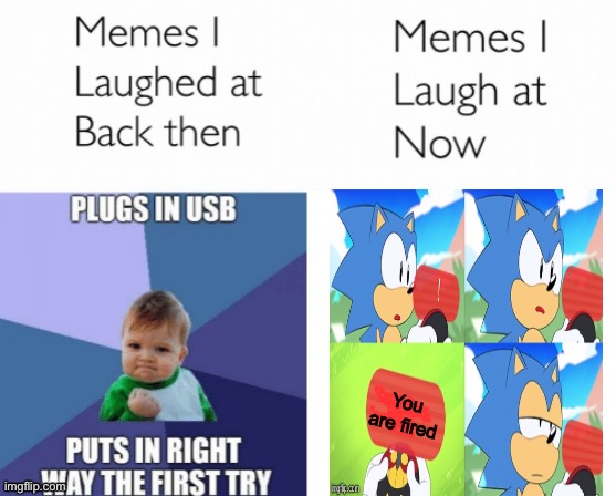 Memes I laughed at then vs memes I laugh at now | You are fired | image tagged in memes i laughed at then vs memes i laugh at now | made w/ Imgflip meme maker