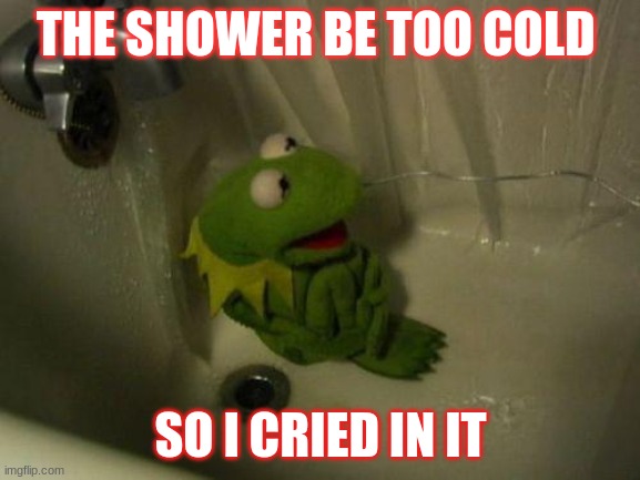 Depressed Kermit | THE SHOWER BE TOO COLD; SO I CRIED IN IT | image tagged in depressed kermit | made w/ Imgflip meme maker
