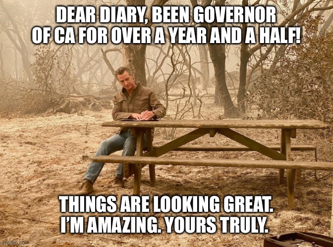 Dear Diary | DEAR DIARY, BEEN GOVERNOR OF CA FOR OVER A YEAR AND A HALF! THINGS ARE LOOKING GREAT. I’M AMAZING. YOURS TRULY. | image tagged in newsom | made w/ Imgflip meme maker