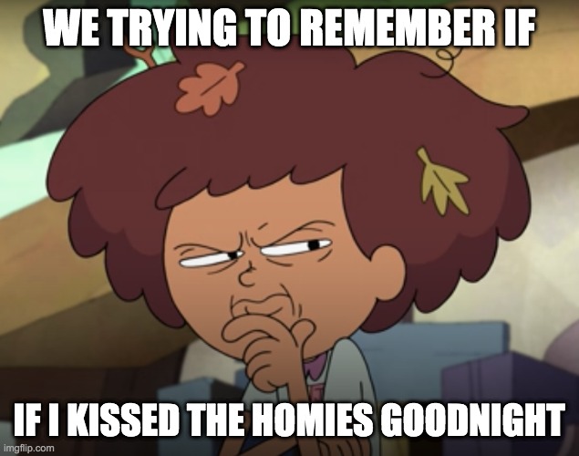 Amphibia shitpost | WE TRYING TO REMEMBER IF; IF I KISSED THE HOMIES GOODNIGHT | image tagged in amphibia | made w/ Imgflip meme maker