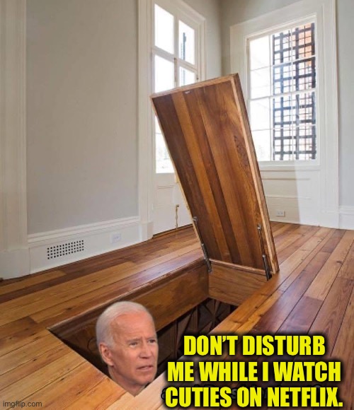 Joe Biden | DON’T DISTURB ME WHILE I WATCH CUTIES ON NETFLIX. | image tagged in joe biden,cutie,netflix,democrats,memes | made w/ Imgflip meme maker