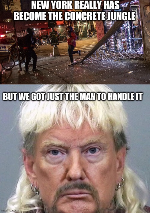 Politics and stuff | NEW YORK REALLY HAS BECOME THE CONCRETE JUNGLE; BUT WE GOT JUST THE MAN TO HANDLE IT | image tagged in funny memes | made w/ Imgflip meme maker
