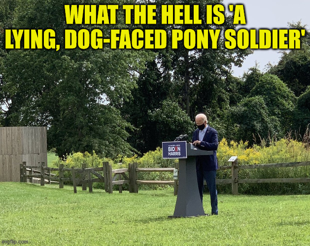'A lying, dog-faced pony soldier' | WHAT THE HELL IS 'A LYING, DOG-FACED PONY SOLDIER' | image tagged in biden quote | made w/ Imgflip meme maker