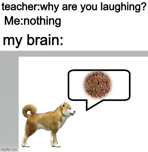 bark | teacher:why are you laughing? Me:nothing; my brain: | image tagged in doggo,bad pun | made w/ Imgflip meme maker