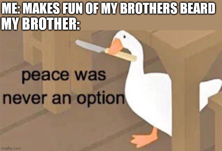 Untitled Goose Peace Was Never an Option | ME: MAKES FUN OF MY BROTHERS BEARD; MY BROTHER: | image tagged in untitled goose peace was never an option | made w/ Imgflip meme maker