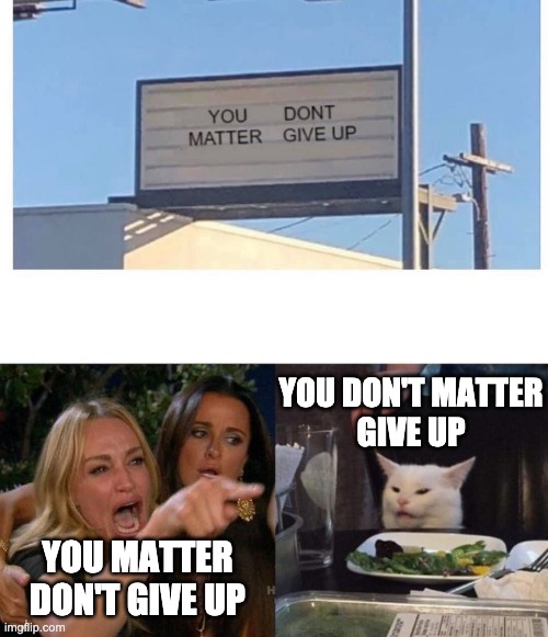 YOU DON'T MATTER
GIVE UP; YOU MATTER
DON'T GIVE UP | image tagged in memes,woman yelling at cat | made w/ Imgflip meme maker