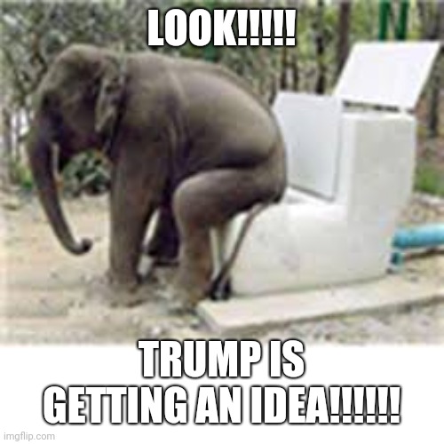 Shitting | LOOK!!!!! TRUMP IS GETTING AN IDEA!!!!!! | image tagged in the scroll of truth | made w/ Imgflip meme maker