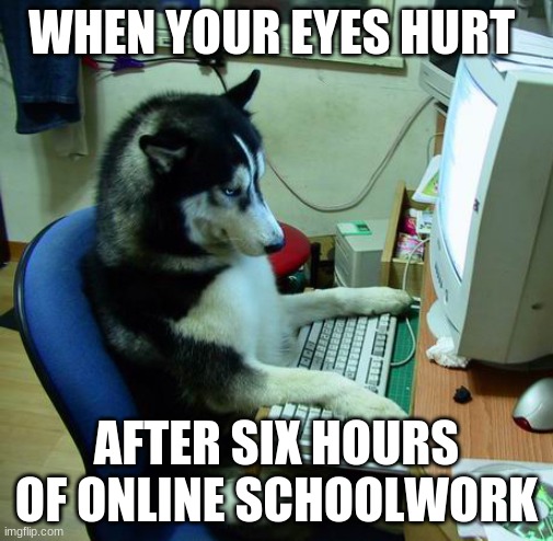 online school dog | WHEN YOUR EYES HURT; AFTER SIX HOURS OF ONLINE SCHOOLWORK | image tagged in memes,online school | made w/ Imgflip meme maker