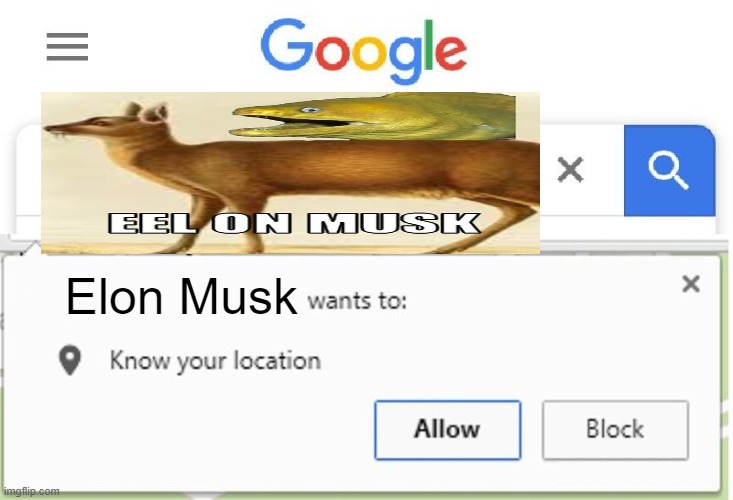 Wants to know your location | Elon Musk | image tagged in wants to know your location | made w/ Imgflip meme maker