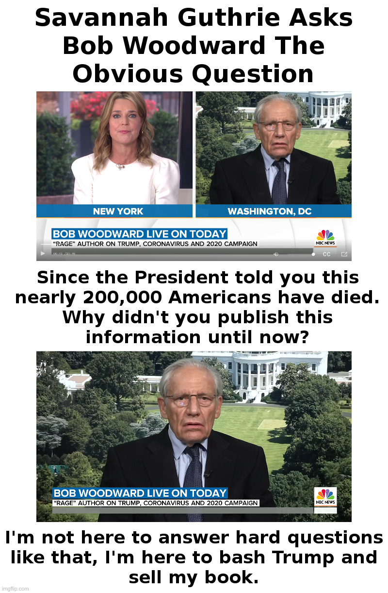 Savannah Guthrie Asks Bob Woodward The Obvious Question | image tagged in today show,savannah guthrie,bob woodward,rage,trump,corona virus | made w/ Imgflip meme maker