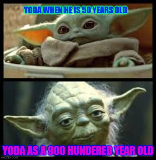 my meme | YODA WHEN HE IS 50 YEARS OLD; YODA AS A 900 HUNDERED YEAR OLD | image tagged in funny memes | made w/ Imgflip meme maker
