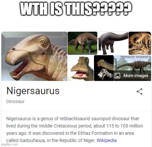 Nigersaurus | WTH IS THIS????? | image tagged in funny,vibe check,dinosaur | made w/ Imgflip meme maker