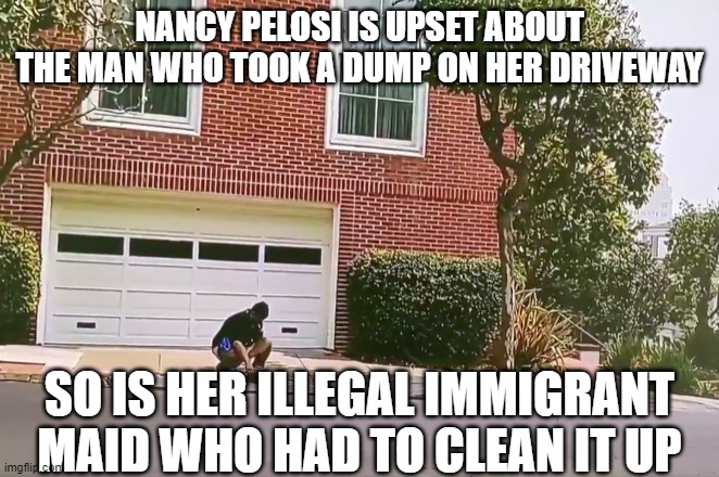 Nancy Pelosi sucks | NANCY PELOSI IS UPSET ABOUT THE MAN WHO TOOK A DUMP ON HER DRIVEWAY; SO IS HER ILLEGAL IMMIGRANT MAID WHO HAD TO CLEAN IT UP | image tagged in nancy peloci,hypocrisy,democrats | made w/ Imgflip meme maker