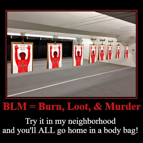 BLM = Burn, Loot, & Murder | image tagged in blm,domestic terrorists,burn loot and murder,marxism,treason,sedition | made w/ Imgflip meme maker