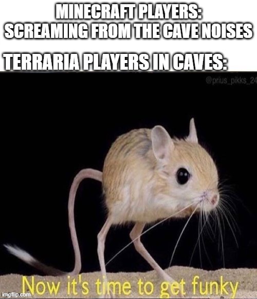 fact | MINECRAFT PLAYERS: SCREAMING FROM THE CAVE NOISES; TERRARIA PLAYERS IN CAVES: | image tagged in now its time to get funky | made w/ Imgflip meme maker