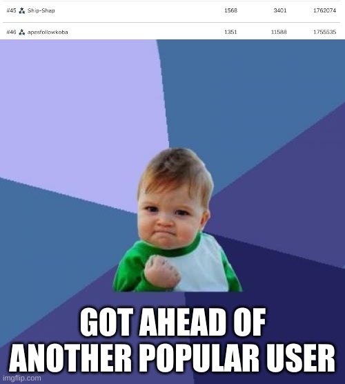 Now 45 | GOT AHEAD OF ANOTHER POPULAR USER | image tagged in memes,success kid | made w/ Imgflip meme maker