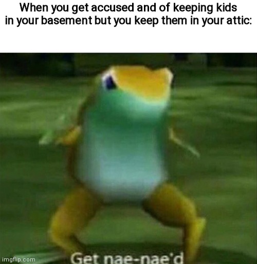 Get nae-nae'd | When you get accused and of keeping kids in your basement but you keep them in your attic: | image tagged in get nae-nae'd,dark humor | made w/ Imgflip meme maker
