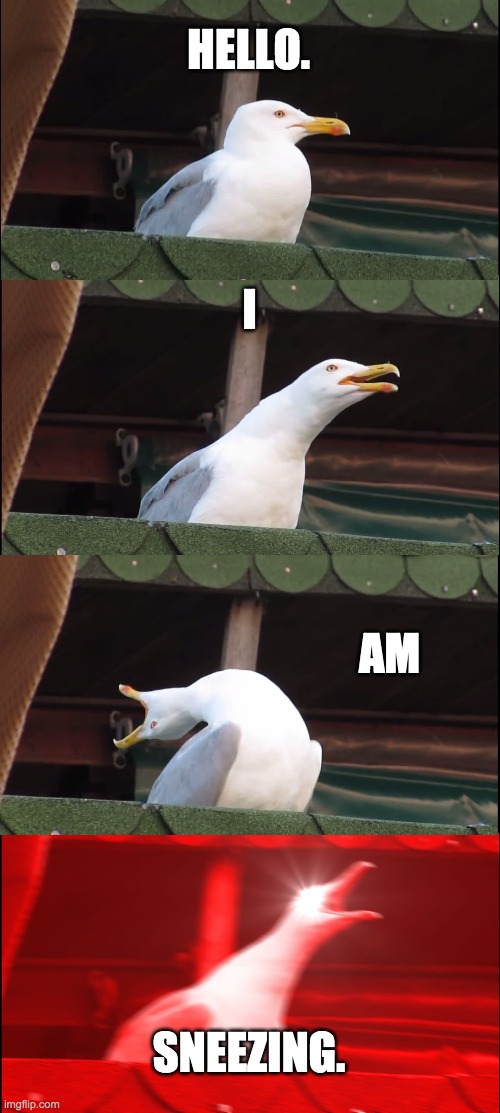 Sneeze | HELLO. I; AM; SNEEZING. | image tagged in memes,inhaling seagull | made w/ Imgflip meme maker