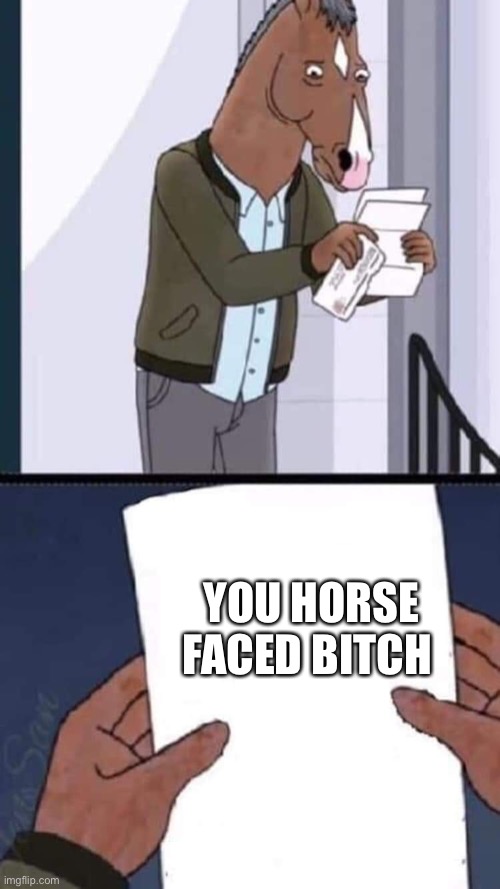 Horse faced bitch | YOU HORSE FACED BITCH | image tagged in bojack horseman letter | made w/ Imgflip meme maker