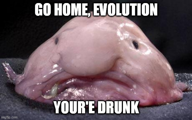 Blobfish | GO HOME, EVOLUTION YOUR'E DRUNK | image tagged in blobfish | made w/ Imgflip meme maker