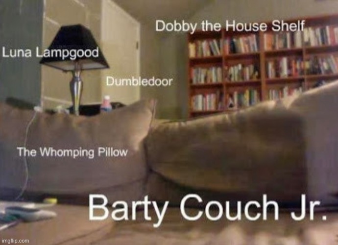 Household Potter | image tagged in funny,harry potter,lol | made w/ Imgflip meme maker