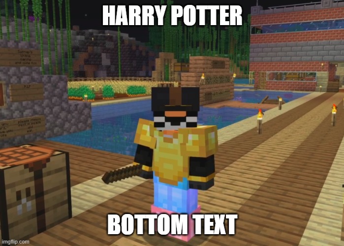 for fundy | HARRY POTTER; BOTTOM TEXT | image tagged in fundy,harry potter | made w/ Imgflip meme maker
