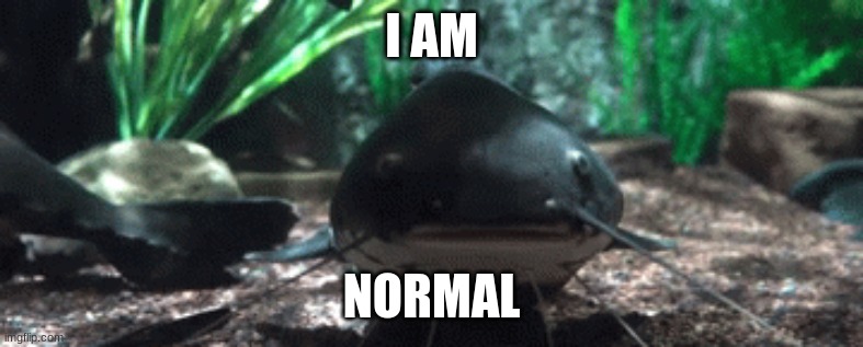 Everyday life - Imgflip