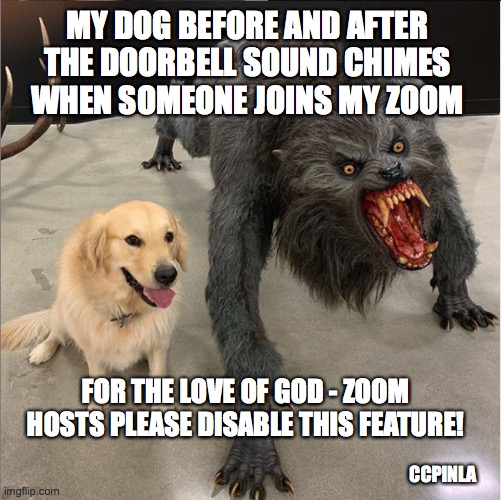 My dog before and after the zoom doorbell sound | MY DOG BEFORE AND AFTER THE DOORBELL SOUND CHIMES WHEN SOMEONE JOINS MY ZOOM; FOR THE LOVE OF GOD - ZOOM HOSTS PLEASE DISABLE THIS FEATURE! CCPINLA | image tagged in dog vs werewolf,zoom,covid-19,coronavirus | made w/ Imgflip meme maker