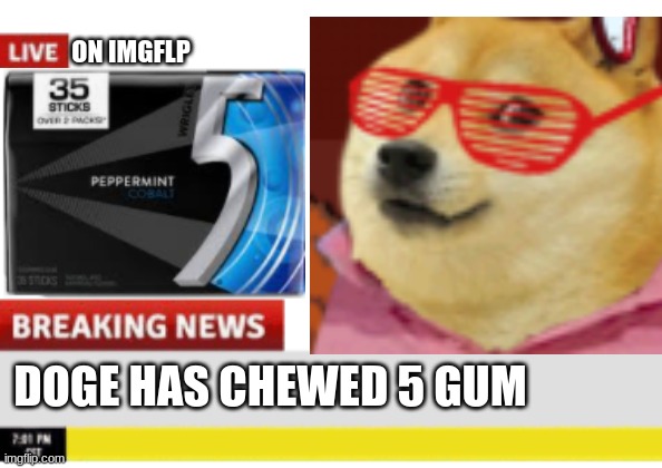 5 gum | ON IMGFLP; DOGE HAS CHEWED 5 GUM | image tagged in 5 gum,epic doge | made w/ Imgflip meme maker