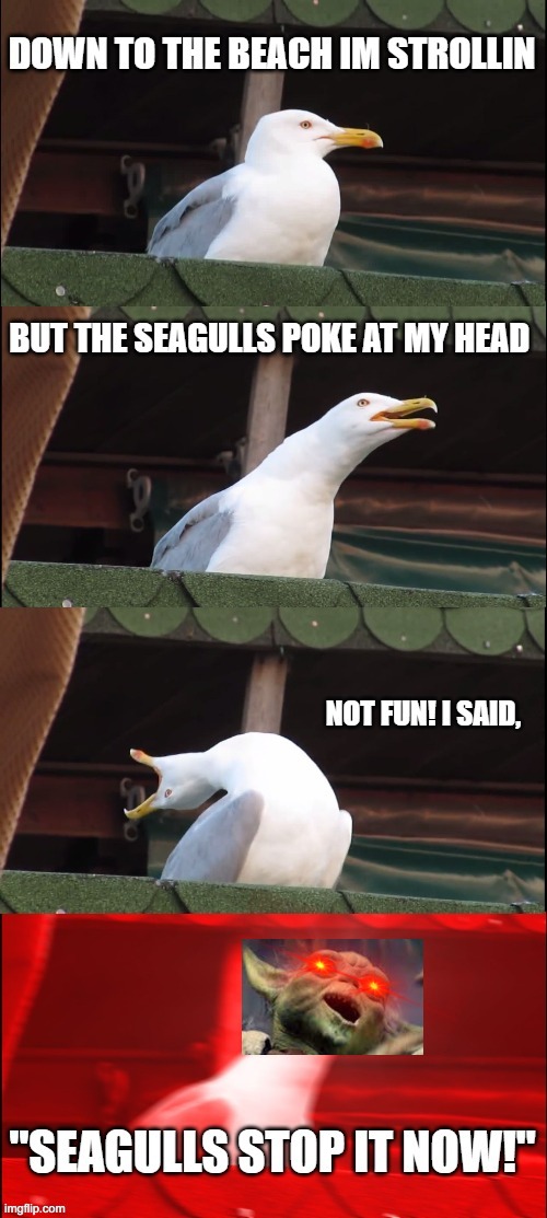 stop it | image tagged in inhaling seagull,seagulls,yoda | made w/ Imgflip meme maker
