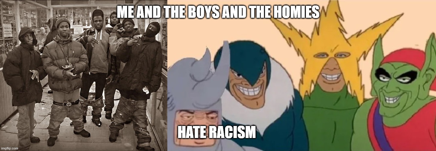 i hate racism and so should you | ME AND THE BOYS AND THE HOMIES; HATE RACISM | image tagged in all my homies hate | made w/ Imgflip meme maker