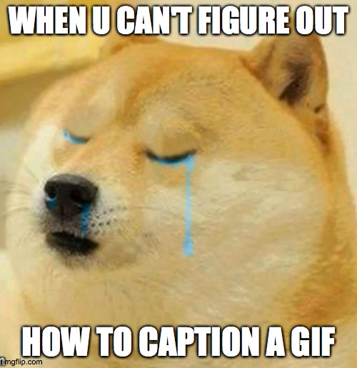 Im so s t o o p i d c r i |  WHEN U CAN'T FIGURE OUT; HOW TO CAPTION A GIF | image tagged in sad doge | made w/ Imgflip meme maker
