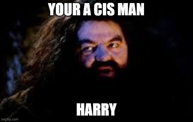 YOUR A CIS MAN HARRY | YOUR A CIS MAN; HARRY | image tagged in your a wizard harry | made w/ Imgflip meme maker