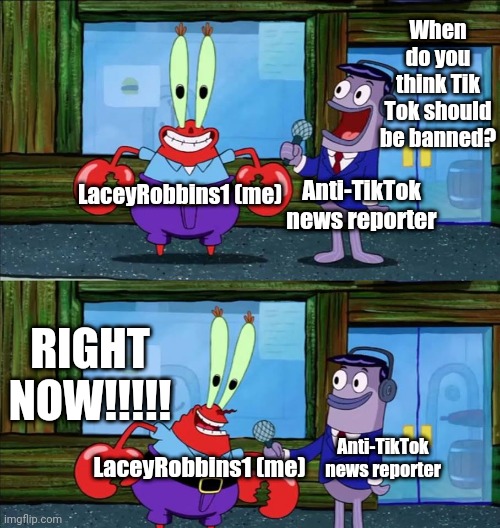 Ban Tik Tok Right Now!!!!! | When do you think Tik Tok should be banned? LaceyRobbins1 (me); Anti-TikTok news reporter; RIGHT NOW!!!!! LaceyRobbins1 (me); Anti-TikTok news reporter | image tagged in mr krabs money | made w/ Imgflip meme maker