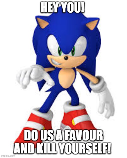 Sonic wants u to kys | HEY YOU! DO US A FAVOUR AND KILL YOURSELF! | image tagged in sonic the hedgehog,sonic,sonic says | made w/ Imgflip meme maker