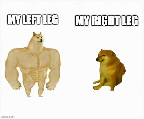 Strong dog vs weak dog | MY RIGHT LEG; MY LEFT LEG | image tagged in strong dog vs weak dog | made w/ Imgflip meme maker