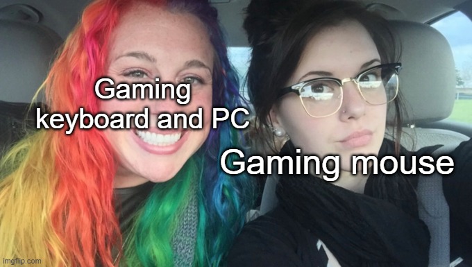 My Sister And I Are Polar Opposites | Gaming keyboard and PC; Gaming mouse | image tagged in my sister and i are polar opposites | made w/ Imgflip meme maker