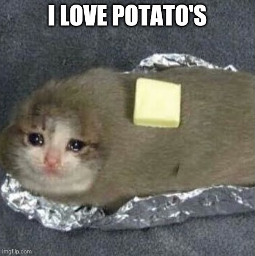 Sad potato cat | I LOVE POTATO'S | image tagged in sad potato cat | made w/ Imgflip meme maker