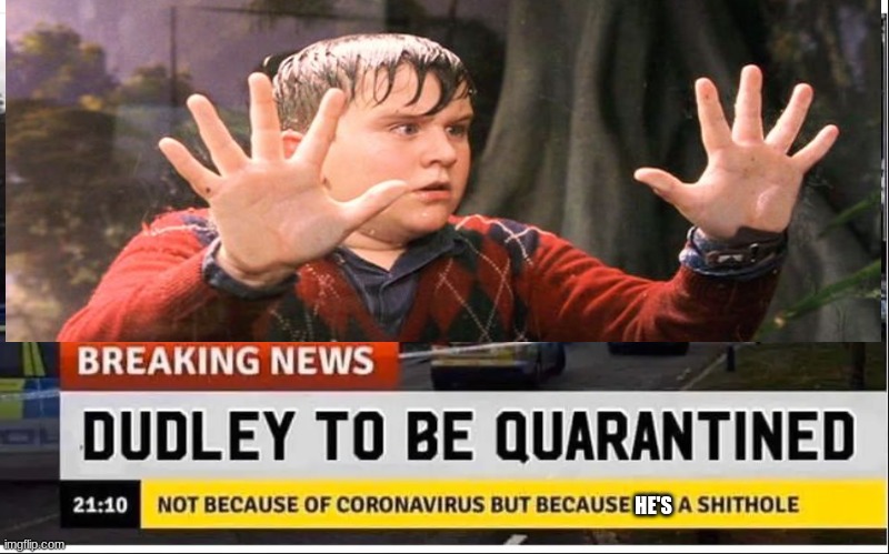 Dudley under Quarantine | HE'S | image tagged in harry potter,covid-19,quarantine | made w/ Imgflip meme maker