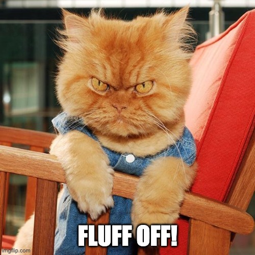 Fluff off angry cat | FLUFF OFF! | image tagged in garfi the angry cat,fluffy | made w/ Imgflip meme maker