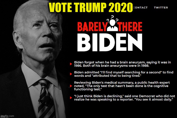 Biden is the disaster that must be avoided | VOTE TRUMP 2020 | image tagged in joe biden,election 2020,democrats,memes | made w/ Imgflip meme maker