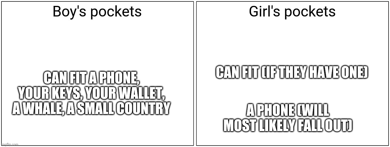 Blank Comic Panel 2x1 Meme | Boy's pockets; Girl's pockets; CAN FIT (IF THEY HAVE ONE); CAN FIT A PHONE, YOUR KEYS, YOUR WALLET, A WHALE, A SMALL COUNTRY; A PHONE (WILL MOST LIKELY FALL OUT) | image tagged in memes,blank comic panel 2x1 | made w/ Imgflip meme maker