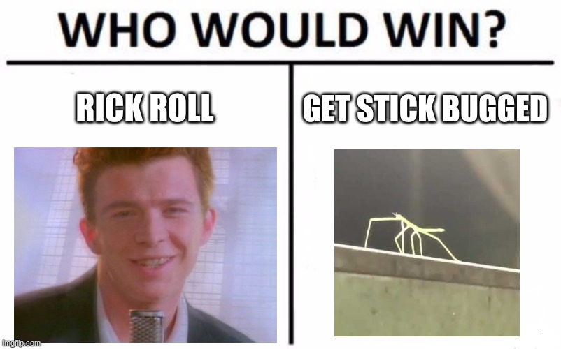 the ultimate showdown | RICK ROLL; GET STICK BUGGED | image tagged in memes,who would win,rickroll | made w/ Imgflip meme maker