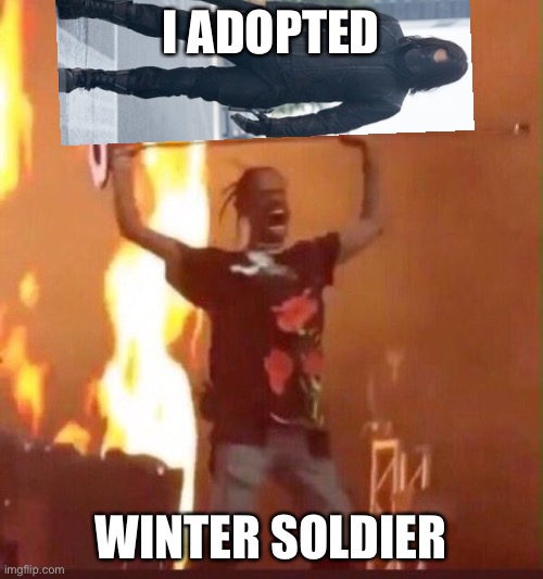 XD :) :P | I ADOPTED; WINTER SOLDIER | image tagged in travis scott | made w/ Imgflip meme maker