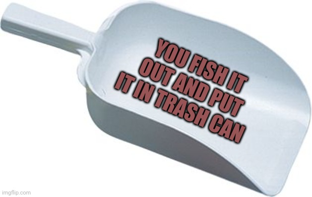 Ice scoop | YOU FISH IT OUT AND PUT IT IN TRASH CAN | image tagged in ice scoop | made w/ Imgflip meme maker