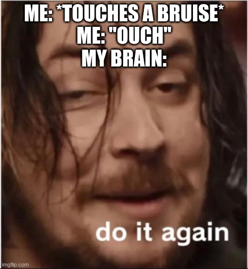 Do it | ME: *TOUCHES A BRUISE*

ME: "OUCH"
MY BRAIN: | image tagged in do it again | made w/ Imgflip meme maker