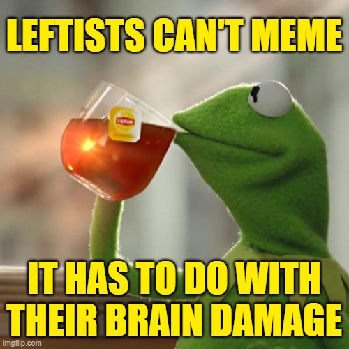 But That's None Of My Business Meme | LEFTISTS CAN'T MEME IT HAS TO DO WITH THEIR BRAIN DAMAGE | image tagged in memes,but that's none of my business,kermit the frog | made w/ Imgflip meme maker